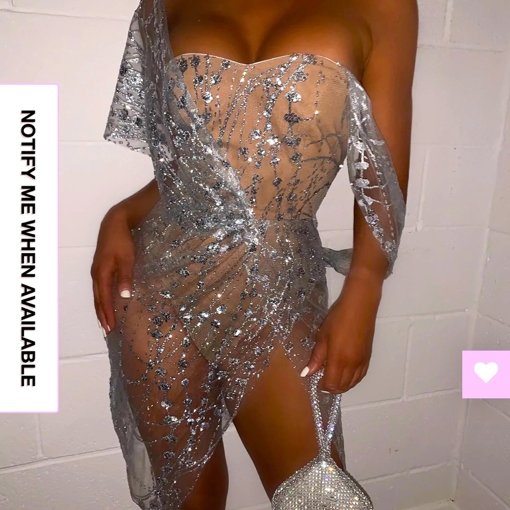 Silver Sheer Dress